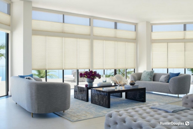 Cellular shades - Paramount Gallery | Connecticut, CT, West Hartford